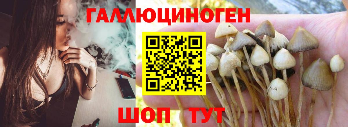 Псилоцибиновые грибы прущие грибы  Вход с VPN  хочу   Сибай 